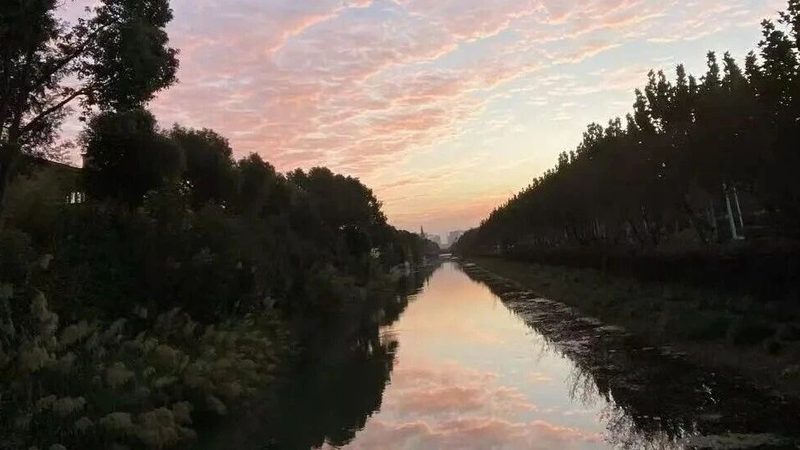 个人商标注册，地域限制知多少？**